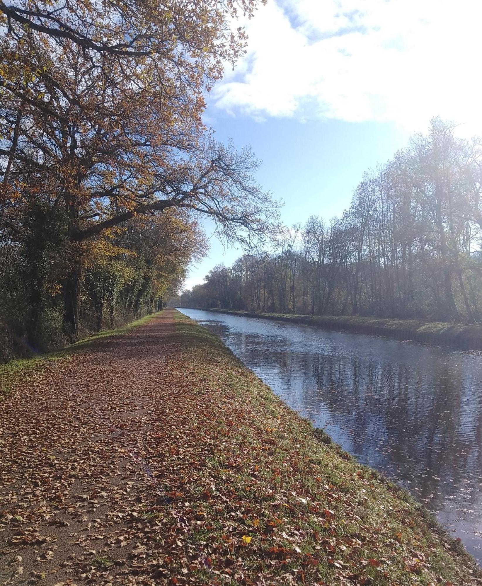 La Halte Du Canal Luthenay-Uxeloup Εξωτερικό φωτογραφία